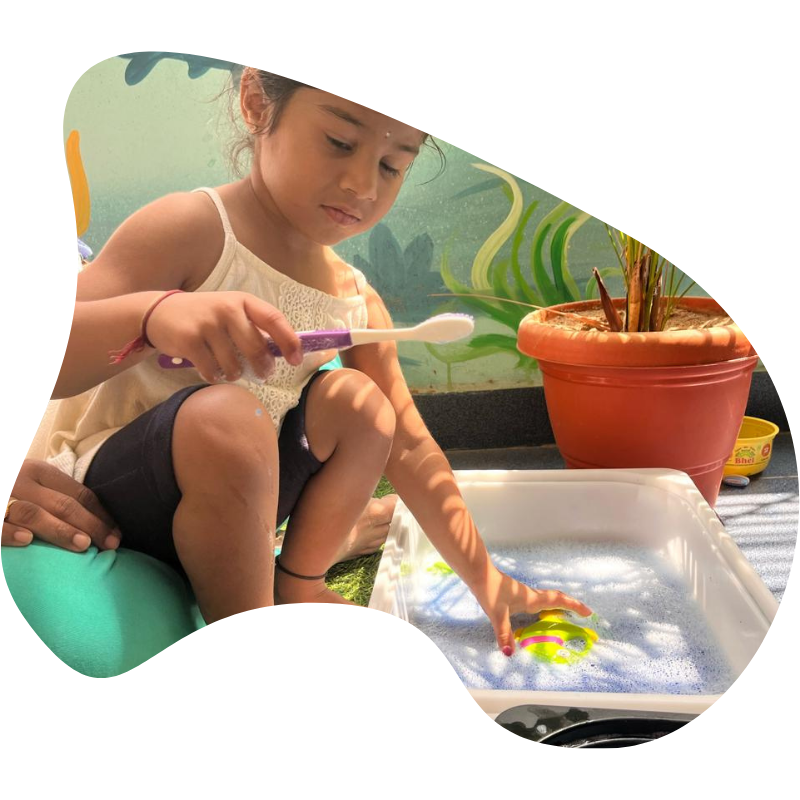 Jelly Bear The Home School