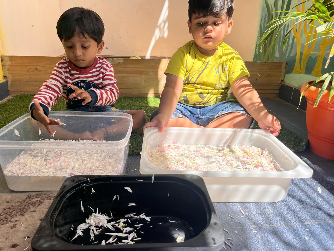 Jelly Bear The Home School