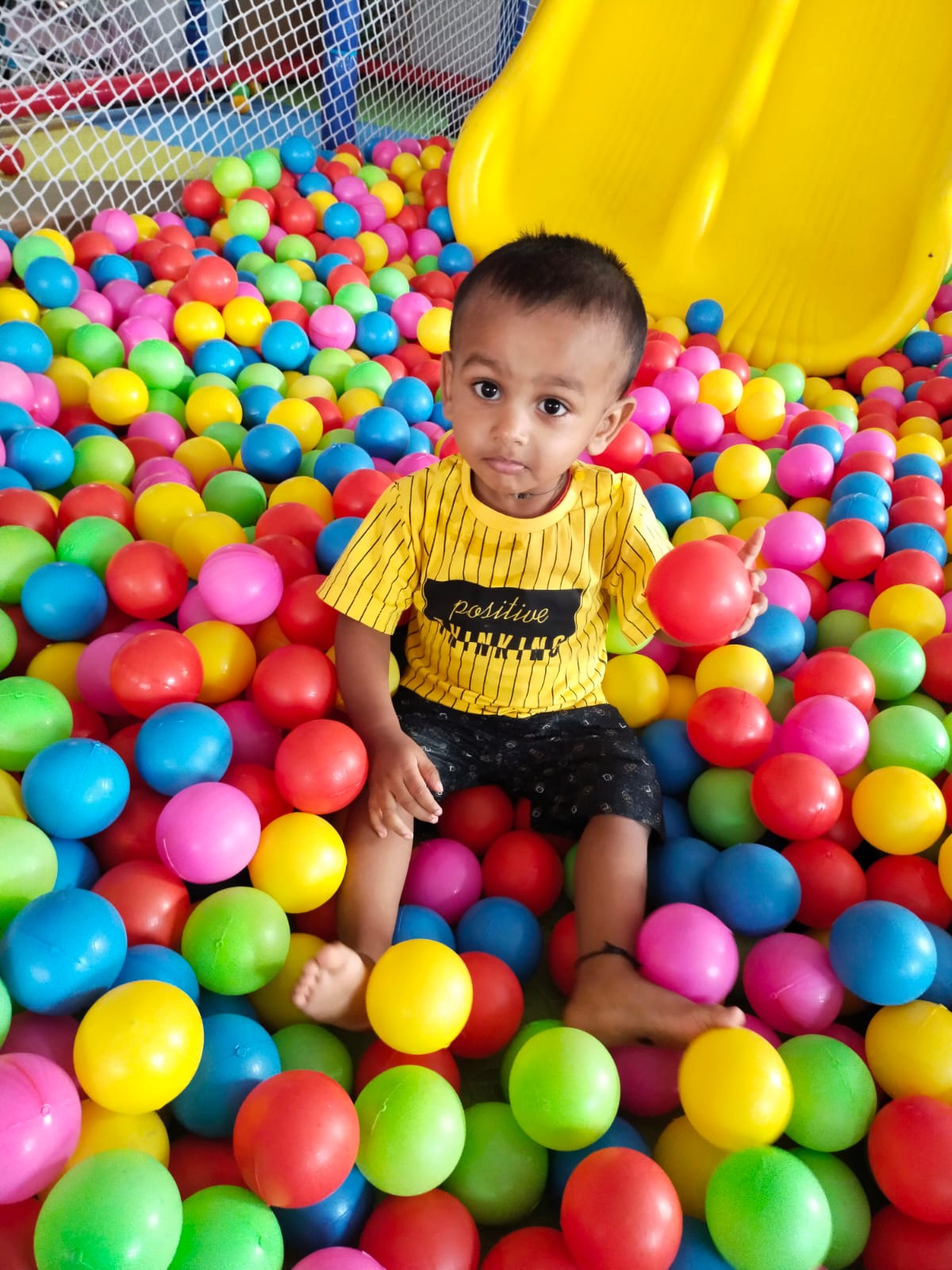 Jelly Bear The Home School